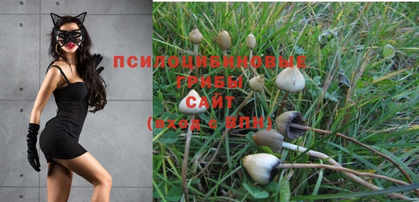 jwh Переславль-Залесский