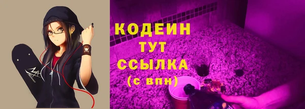 дживик Протвино