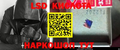 прущие грибы Гусев