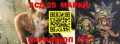 гашик Бийск