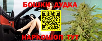 крисы Гусиноозёрск