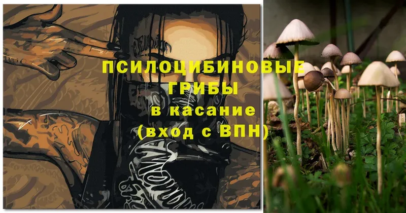 Галлюциногенные грибы MAGIC MUSHROOMS  ОМГ ОМГ как зайти  Лангепас 